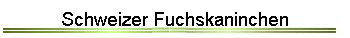Schweizer Fuchskaninchen
