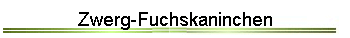 Zwerg-Fuchskaninchen